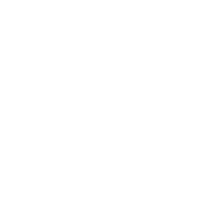 investment-advisor-logo-white